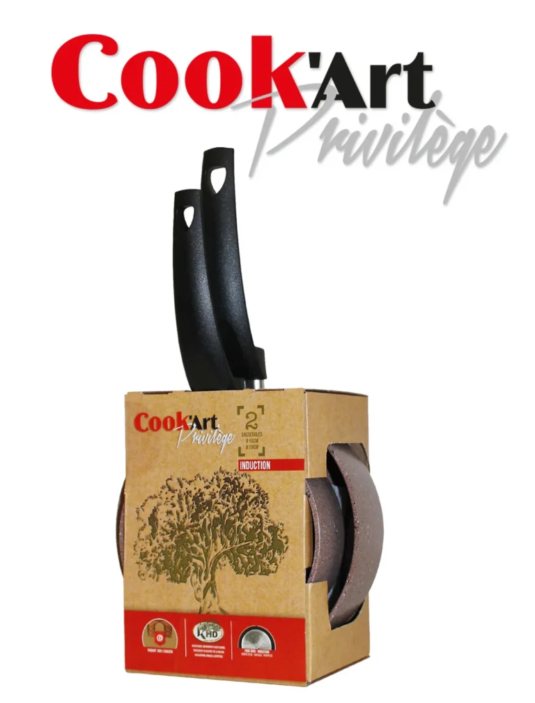 LOT 2 CASSEROLE 16&18 CM COOK ART PRIVILEGE IND ROUGE — Rouge