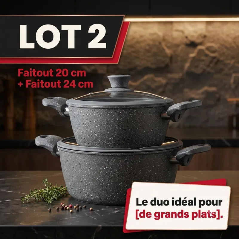 Lot de 2 Faitouts Induction Cook'Art Privilège 20&24cm